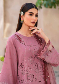Nureh Dhoop Kinaray Bazaar Series'24 NS-136 - Mohsin Saeed Fabrics
