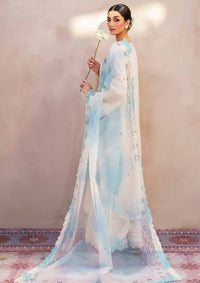 Nureh Dhoop Kinaray Bazaar Series'24 NS-140 - Mohsin Saeed Fabrics