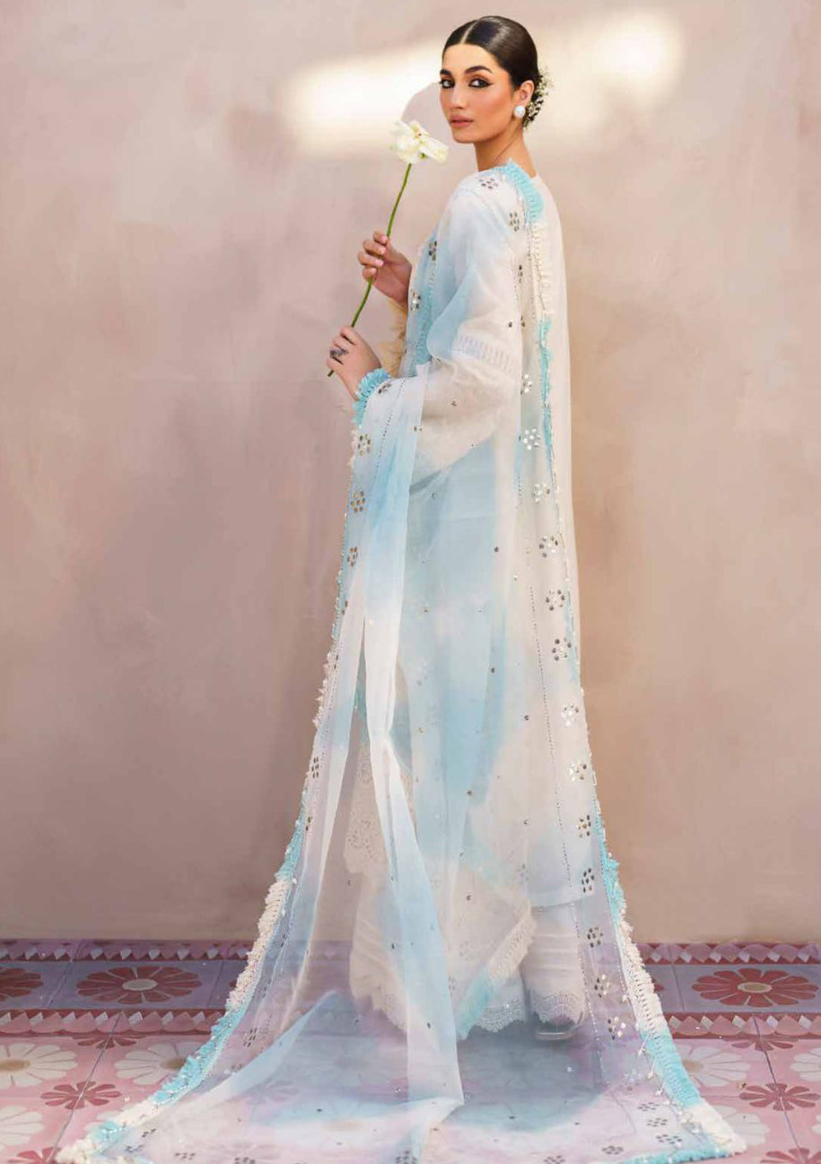 Nureh Dhoop Kinaray Bazaar Series'24 NS-140 - Mohsin Saeed Fabrics