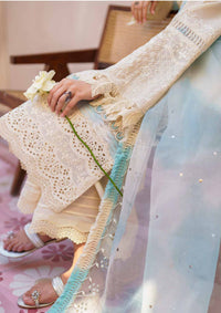 Nureh Dhoop Kinaray Bazaar Series'24 NS-140 - Mohsin Saeed Fabrics