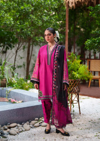 Saira Rizwan Laanem'26 D-02 AMARA-A
