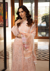 Omnia By Khoobsurat'24 OL-06 - Mohsin Saeed Fabrics