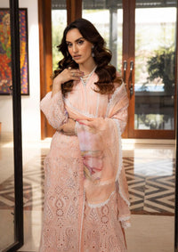 Omnia By Khoobsurat'24 OL-06 - Mohsin Saeed Fabrics