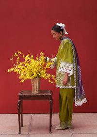 Saira Rizwan Laanem'26 D-07 NERAYA-A