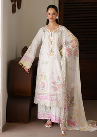 Roheenaz Sunlit Tales'26 D-04 Petalbeam