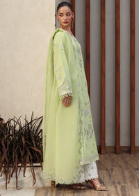 Qalamkar Qline Lawn Drop II'26 QKL-05 AYANA