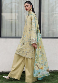 Qalamkar Qline Lawn Drop II'26 QKL-11 MEIRA
