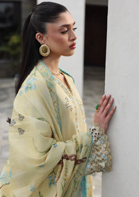 Qalamkar Qline Lawn Drop II'26 QKL-11 MEIRA