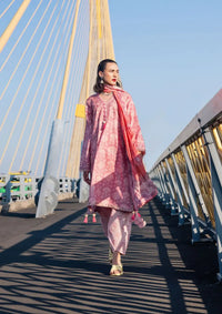 Roheenaz Taneez Block Print'24 RNB-07B-VIDA