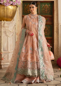 Parishay Ranibagh Luxury Formals'25 D-09 ROSHANARA
