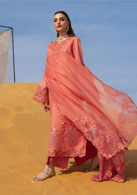 Rang Rasiya Premium'26 -Elnaz