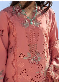 Rang Rasiya Premium'26 -Amani