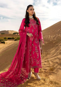 Rang Rasiya Premium'26 -Safa