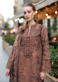 mohsin-saeed-fabrics-is-selling-online-and-in stores-Luxury-daily-wear-wedding-wear-formal-wear-in-budgeted-price.This-product-is-from-rang-rasiya-life-style-winter-edit25-d-03-grace-is-available-on-Mohsin-saeed-fabrics-website.