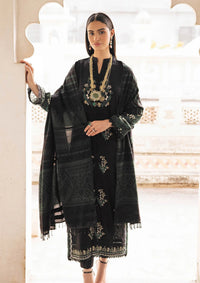 RajBari Premium Winter Shawl'24 D-01A