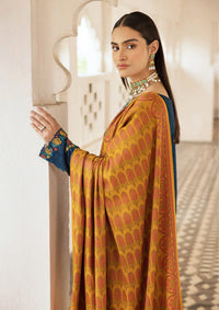 RajBari Premium Winter Shawl'24 D-02A