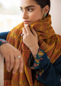 RajBari Premium Winter Shawl'24 D-02A