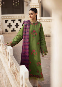 RajBari Premium Winter Shawl'24 D-02B