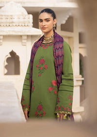 RajBari Premium Winter Shawl'24 D-02B