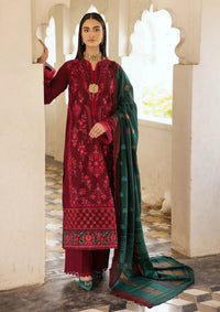 RajBari Premium Winter Shawl'24 D-04A