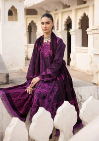 RajBari Premium Winter Shawl'24 D-05A