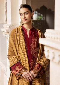 RajBari Premium Winter Shawl'24 D-06A