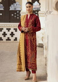 RajBari Premium Winter Shawl'24 D-06A