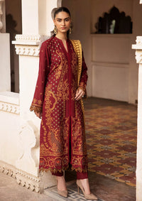 RajBari Premium Winter Shawl'24 D-06A