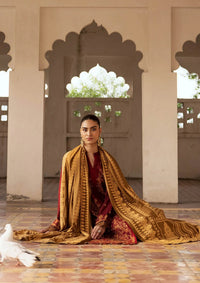 RajBari Premium Winter Shawl'24 D-06A