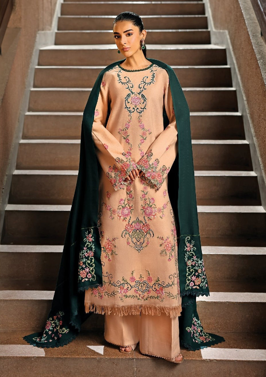 Rajbari Premium Winter'25 D-07