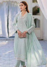 Rajis Dhoop Kinary Festive'24 RJ-06 - Mohsin Saeed Fabrics