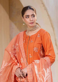Rajis Dhoop Kinary Festive'24 RJ-10 - Mohsin Saeed Fabrics