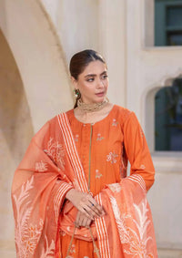 Rajis Dhoop Kinary Festive'24 RJ-10 - Mohsin Saeed Fabrics