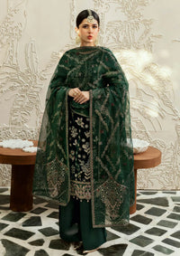 Ramsha Premium Velvet'24 Vol-06 V-607