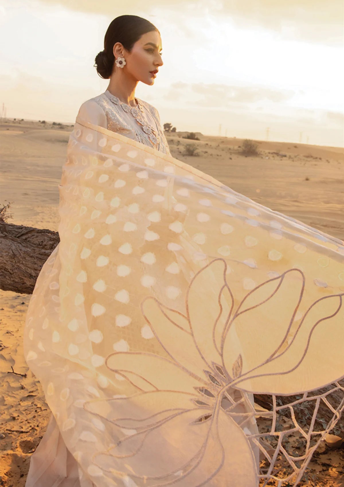 Rang Rasiya Premium Lawn'24 D-03-Elaheh - Mohsin Saeed Fabrics