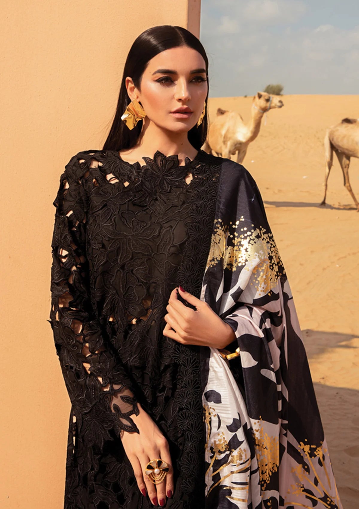 Rang Rasiya Premium Lawn'24 D-04-Alaya