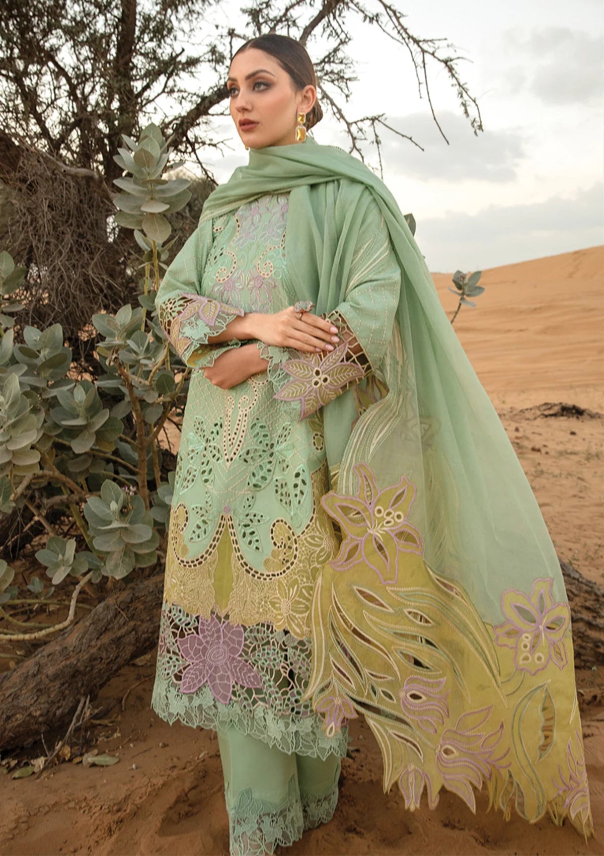 Rang Rasiya Premium Lawn'24 D-08-Elnaz - Mohsin Saeed Fabrics