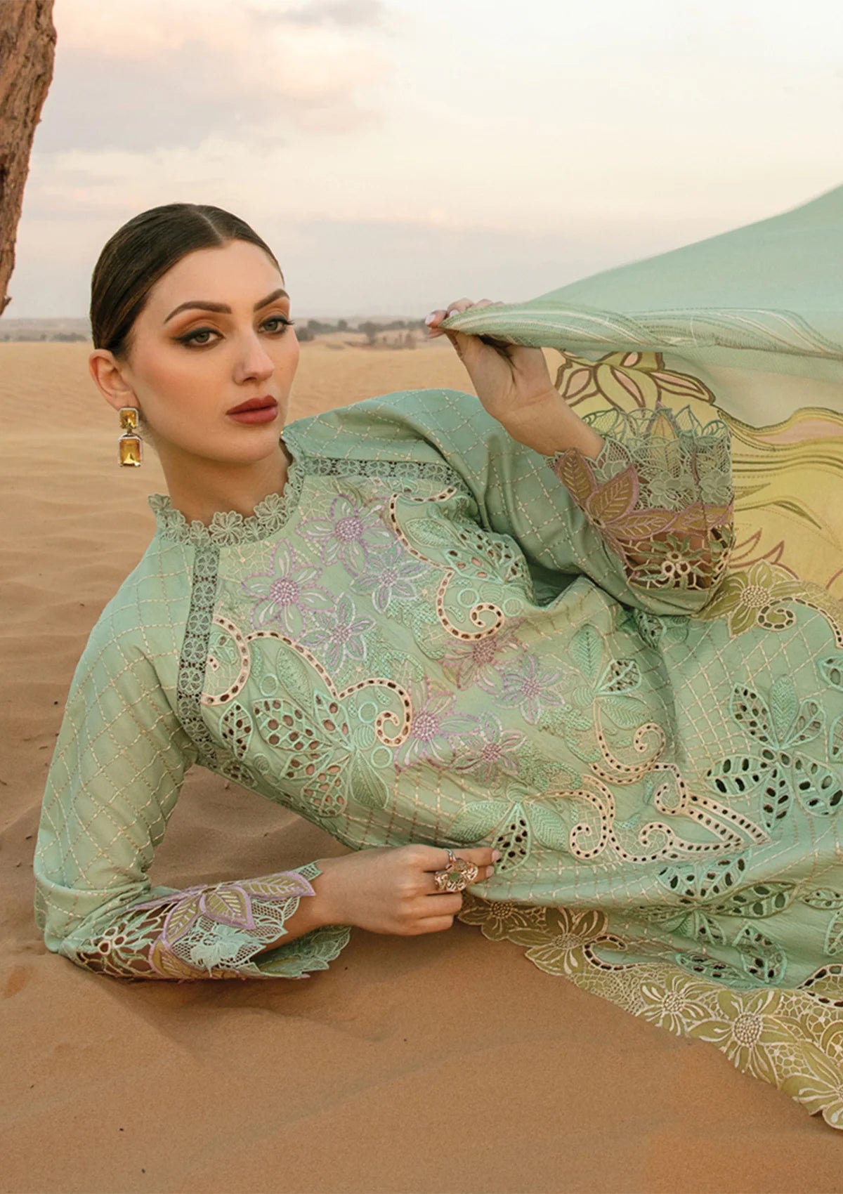 Rang Rasiya Premium Lawn'24 D-08-Elnaz - Mohsin Saeed Fabrics