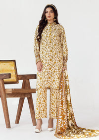 RangNagar By Nur Printed Slub'24 DN-11