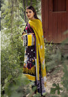 Rang Nagar by NUR'23 RN-06 - Mohsin Saeed Fabrics