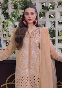 mohsin-saeed-fabrics-designer-daily-wear-formal-and-wedding-suits-within-budget-This-product-is-from-rang-rasiya-carnation25-d-13-is-available-on-Mohsin-saeed-fabrics-website.