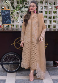 mohsin-saeed-fabrics-designer-daily-wear-formal-and-wedding-suits-within-budget-This-product-is-from-rang-rasiya-carnation25-d-13-is-available-on-Mohsin-saeed-fabrics-website.