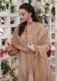 mohsin-saeed-fabrics-designer-daily-wear-formal-and-wedding-suits-within-budget-This-product-is-from-rang-rasiya-carnation25-d-13-is-available-on-Mohsin-saeed-fabrics-website.