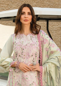 Rang Rasiya Carnation Summer'24 D-10 Liana - Mohsin Saeed Fabrics