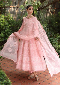 mohsin-saeed-fabrics-is-selling-online-and-in stores-Luxury-daily-wear-wedding-wear-formal-wear-in-budgeted-price-This-product-is-from-riaz-arts-riwayat-emb-lawn25-rl-01-is-available-on-Mohsin-saeed-fabrics-website.