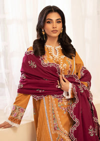 Roheenaz Meraki Winter'24 RNZ-08B SAFFRON