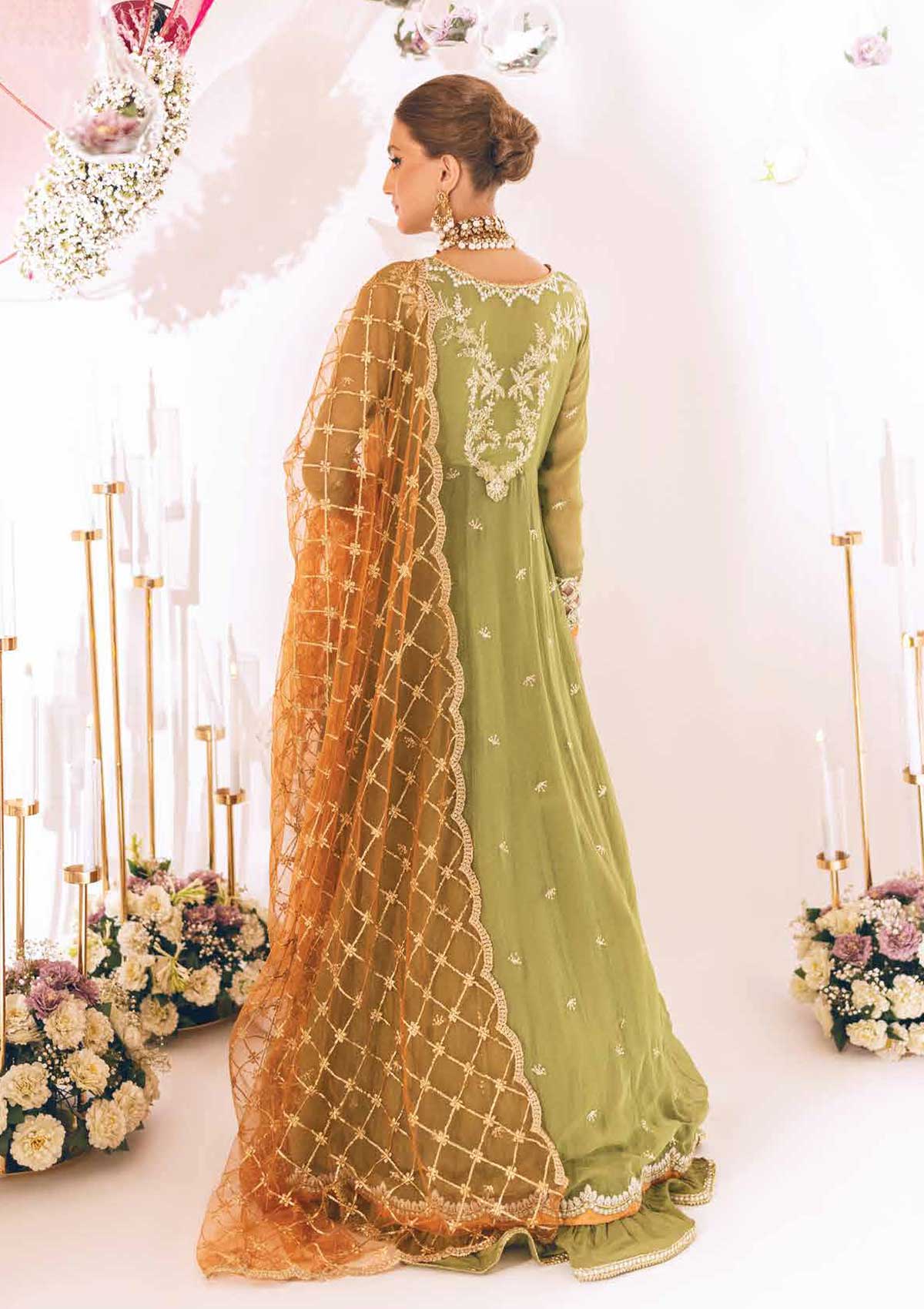 Roheenaz Sawariya Luxury Kalidaar Chiffon'23 D-05
