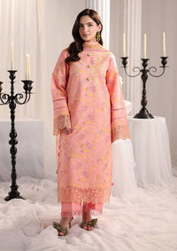 Rang Rasiya Nova Summer Edit'26 D-07 Rosalia