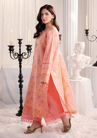 Rang Rasiya Nova Summer Edit'26 D-07 Rosalia