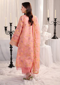 Rang Rasiya Nova Summer Edit'26 D-07 Rosalia